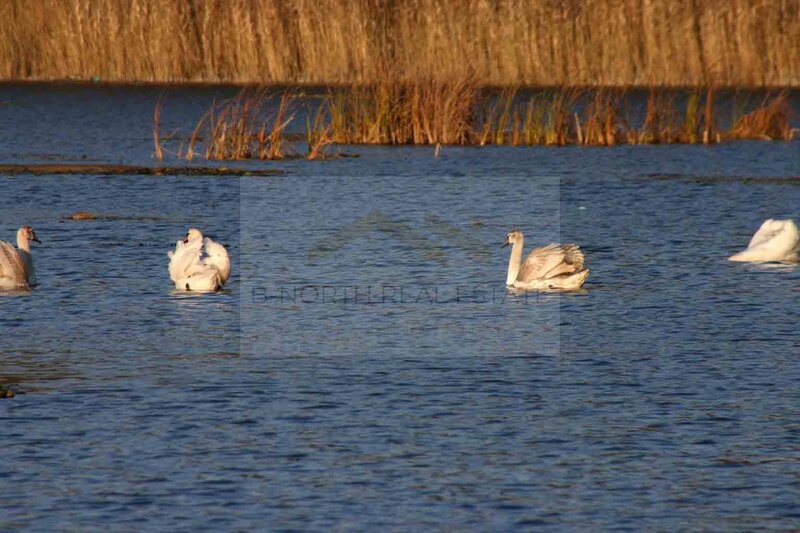 Resedinta exclusivista cu deschidere la Lacul Scrovistea